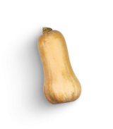 Kürbisgewächse