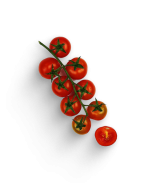 Fruchtgemüse