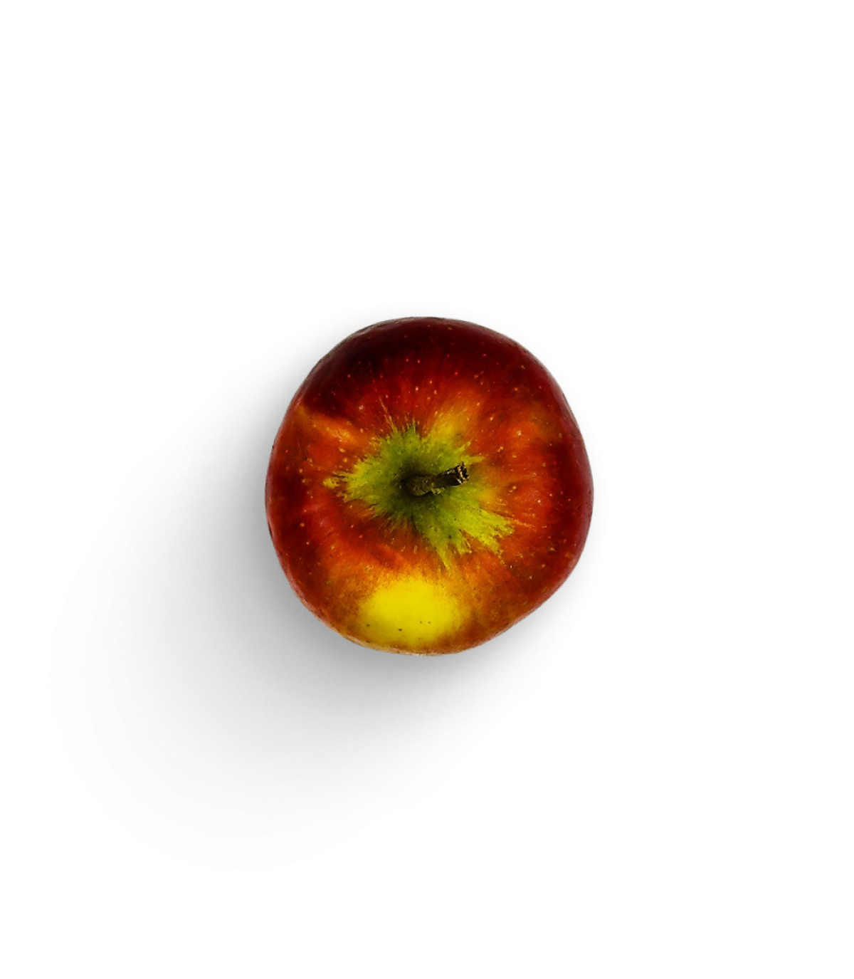 Apfel Gala
