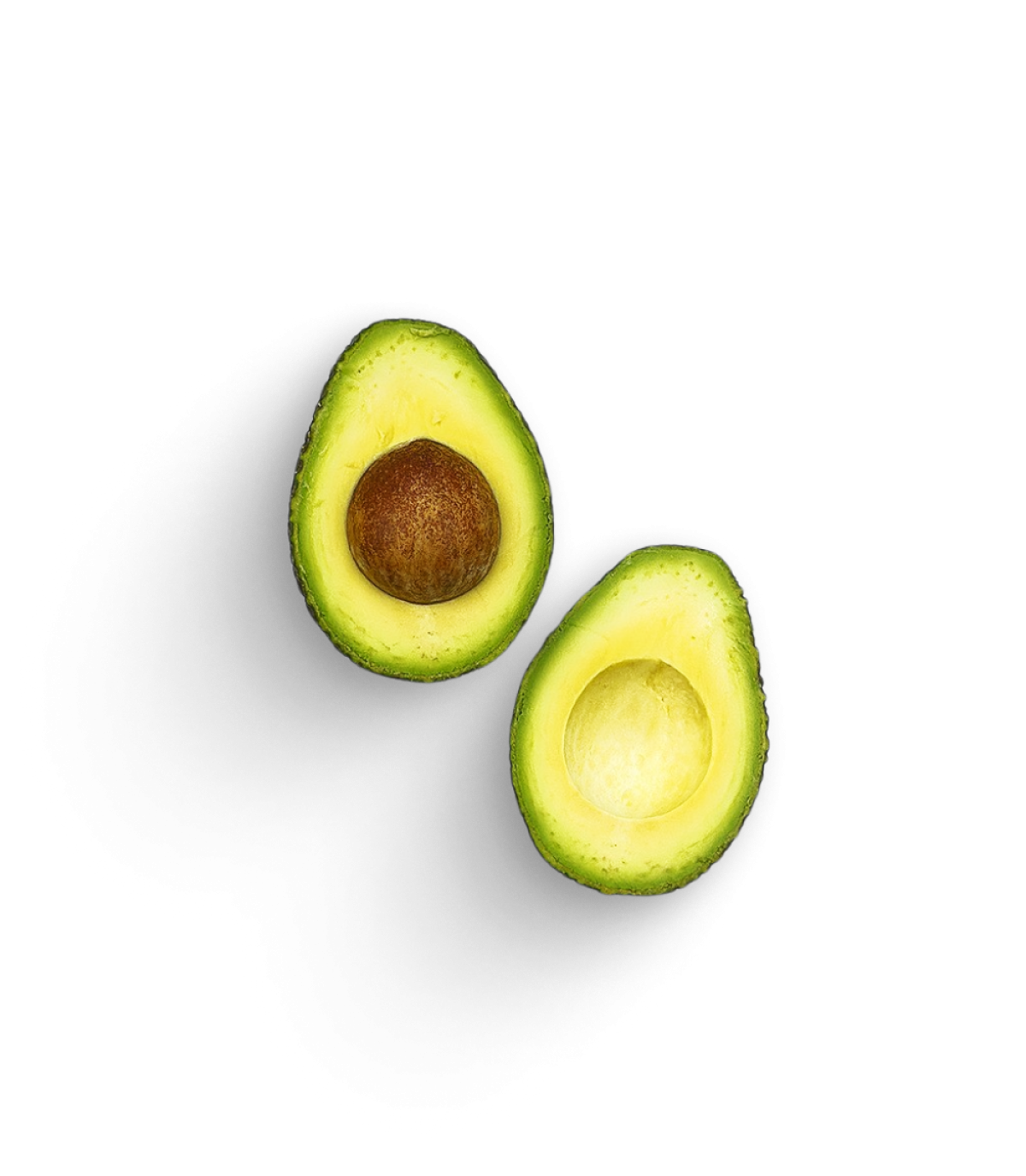 Avocado Hass