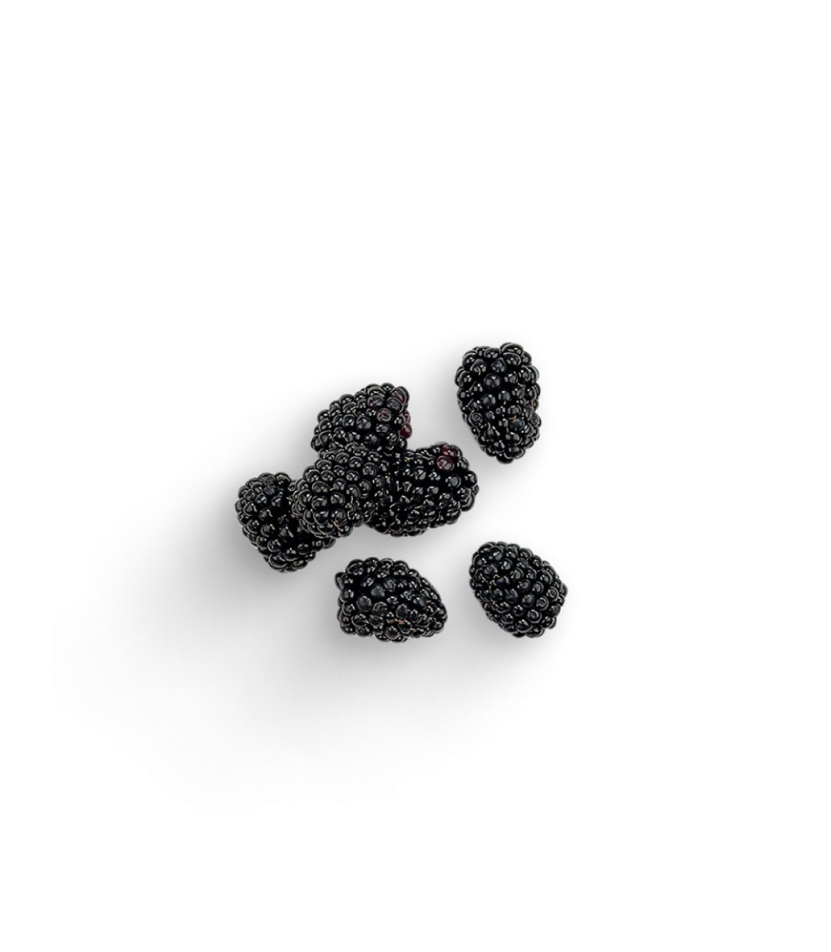 Brombeeren (Schale)