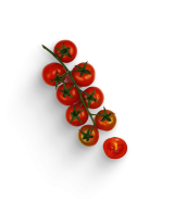 Obst & Snackgemüse Kiste L