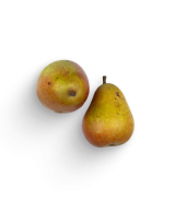 Obstkiste M (Büro & Kita)