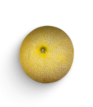 Galia Honigmelone