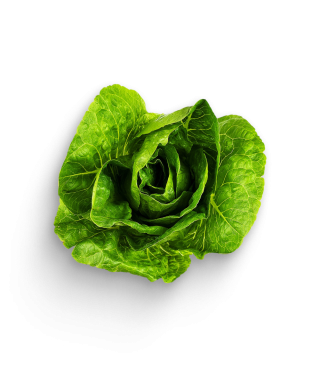 Mini Romanasalat