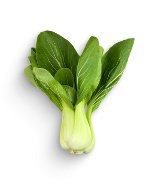 Pak Choi (Chin. Senfkohl) 6 St
