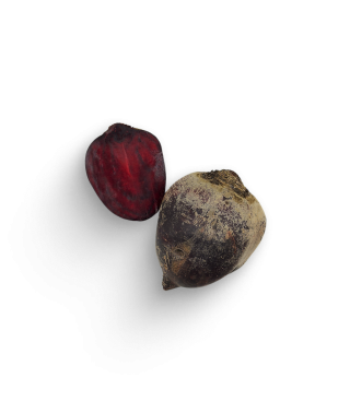 Rote Bete (Bund)
