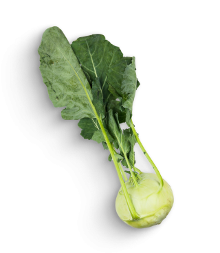 Weißer Kohlrabi