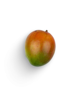 Mango Osteen