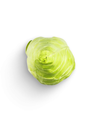 Spitzkohl
