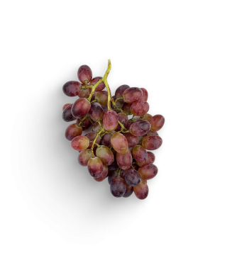 Rote Trauben