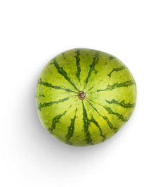 Mini-Wassermelone