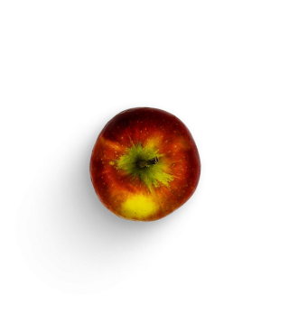 Apfel Jonagold