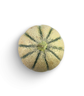 Melone Cantaloupe