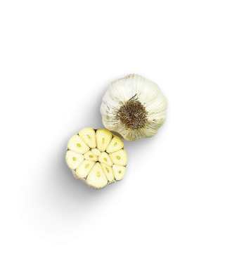 Knoblauch trocken