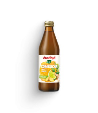 Kombucha Limette Ingwer (MEHRWEG)