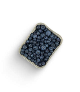 Heidelbeeren Schale