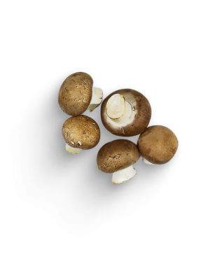 Champignons (Schale)