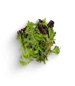 Regionaler Mixsalat (Schale)