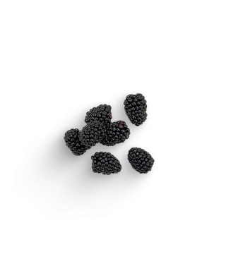 Brombeeren (Schale)